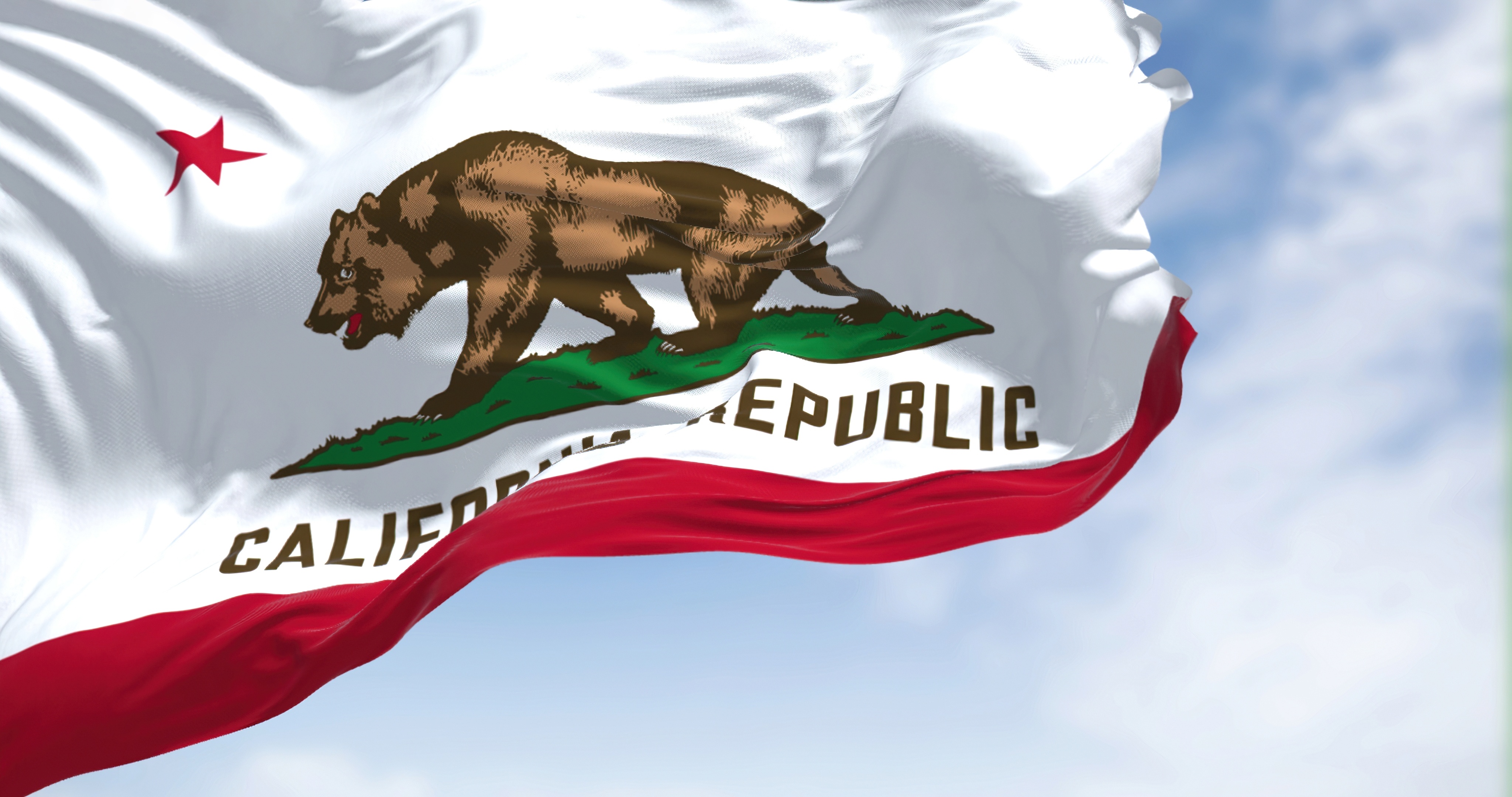 California Banner Image